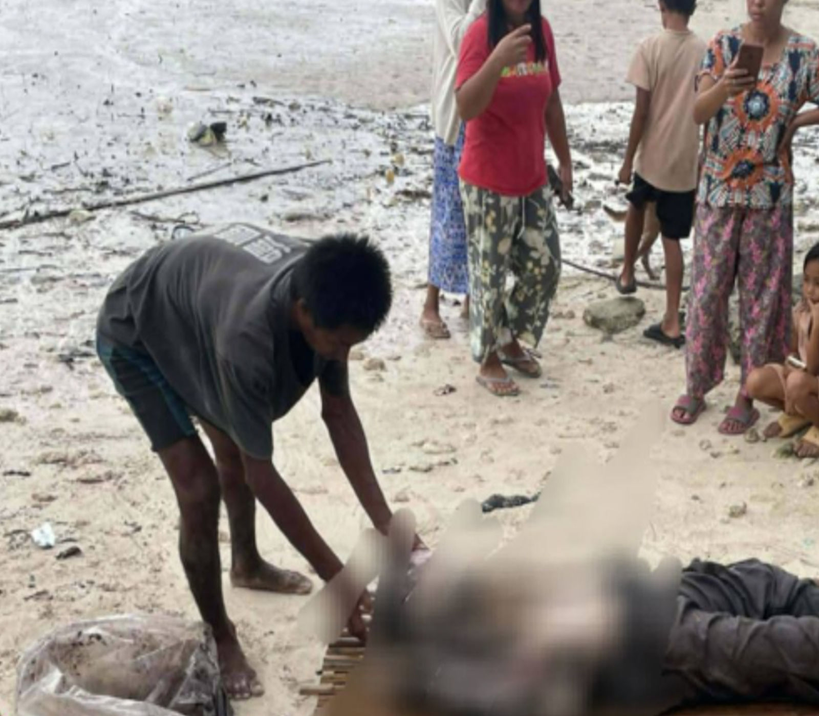 Construction worker fatally attacked by crocodile in Palawan — Could wildlife management have prevented this?